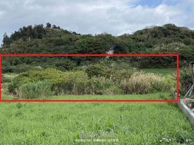 西原町字幸地農用地