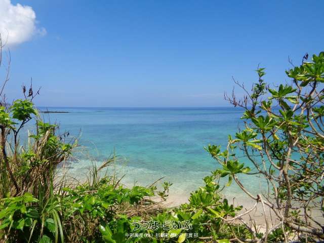 恩納村字安冨祖土地