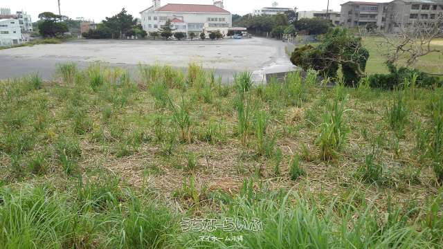 城間明美売地