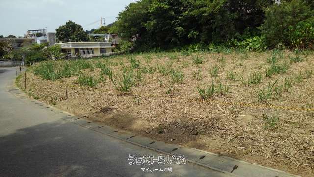 新垣正信氏売地