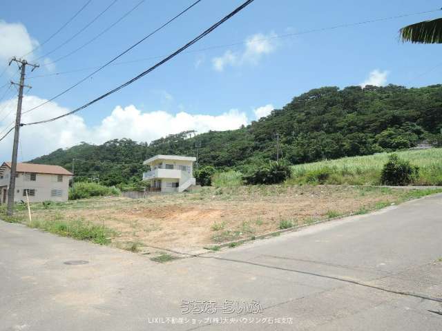 石垣阿香花　10筆