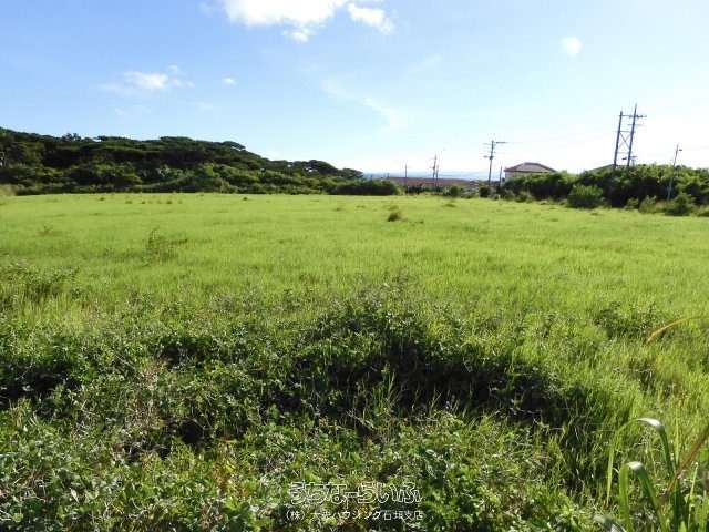石垣市新川奈良佐売地（１筆:４５３坪）