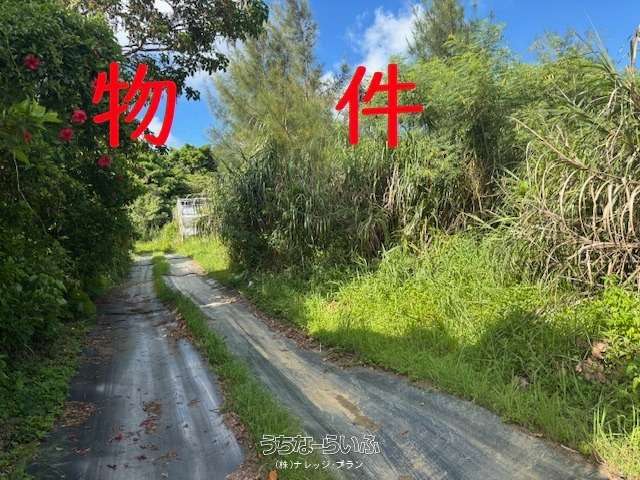 金武町字伊芸 約1,487坪(農地)