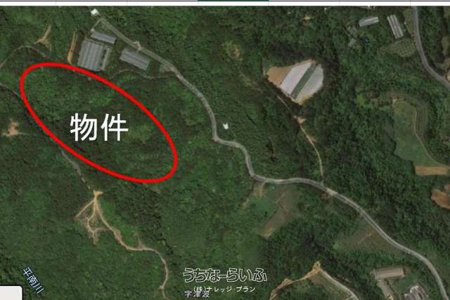 大宜味村津波15,914坪の農地