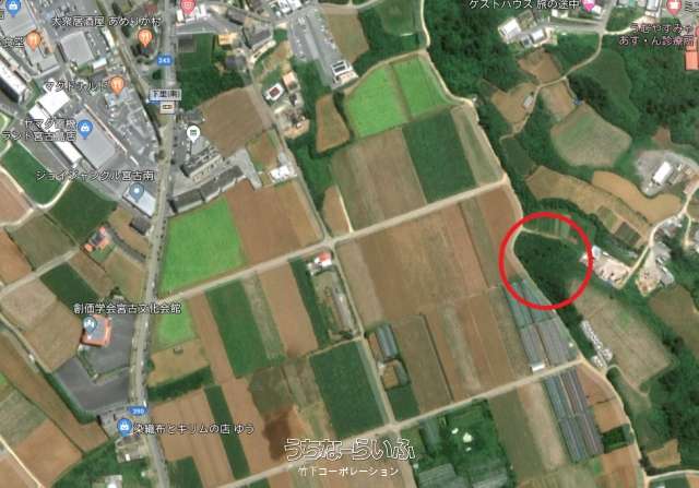 平良字久貝　うむやす地区