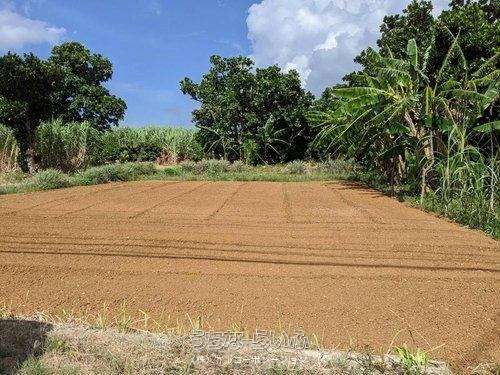 平良字荷川取498-2　230坪