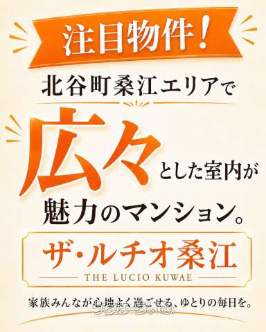 ザ・ルチオ桑江ヒルズ 1102号