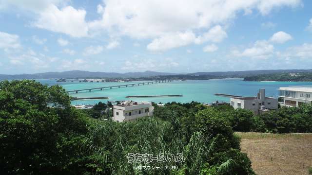 今帰仁村古宇利