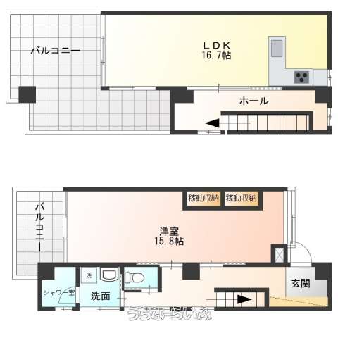 ブラッチェ 402号