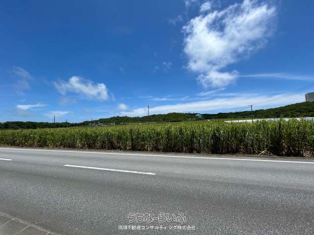 南城市玉城糸数の農地②