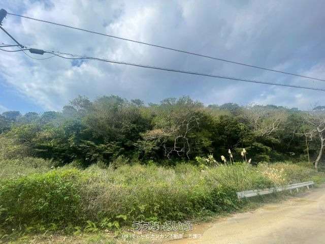 大宜味村根路銘土地【親川様】