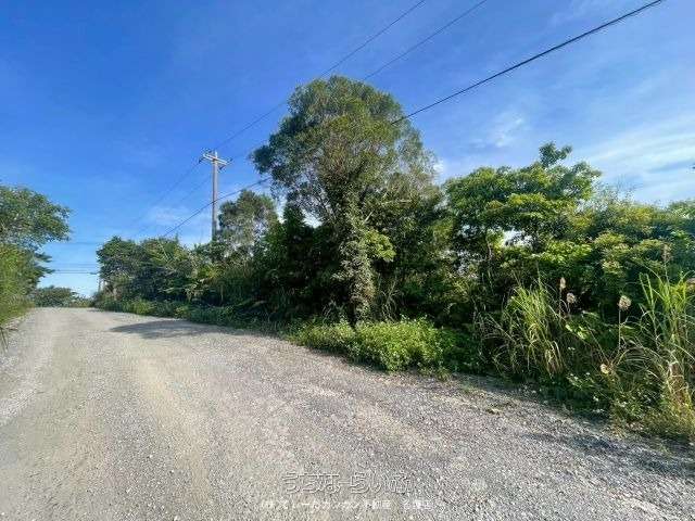 大宜味村津波土地【辺士名様】