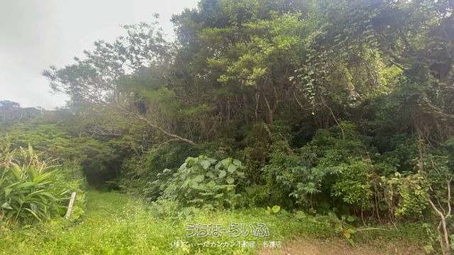 名護市三原土地【當眞様】