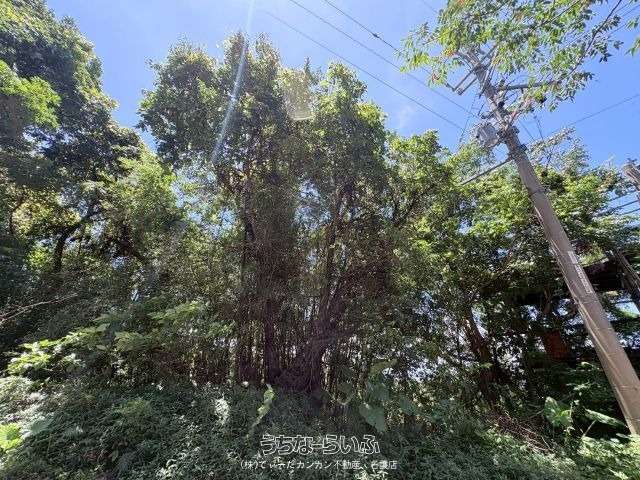 名護市勝山【新屋様】
