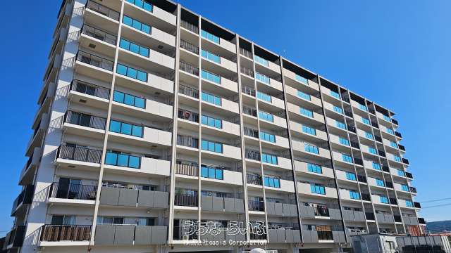 プレサンスロジェ名護為又ヴォール