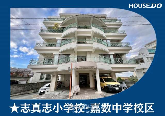 ファイン志真志 6--号