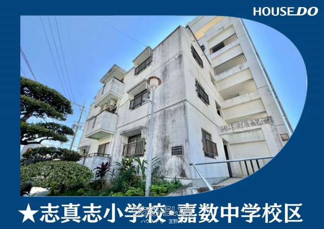 グリーンパレス志真志 4--号