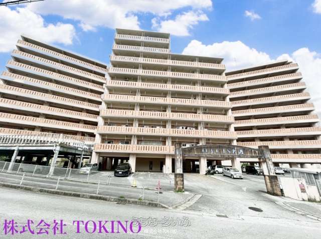 オアシス名護 2--号