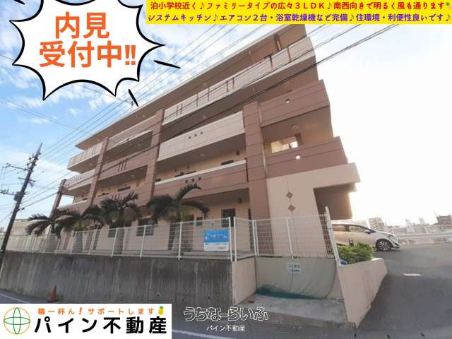 テラスハク 301号