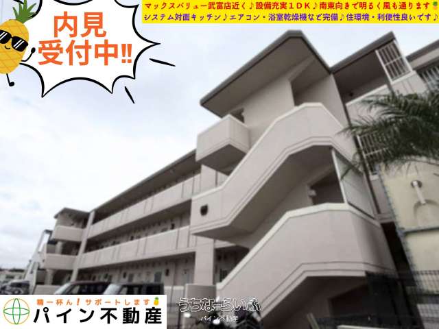 Sunfelix 104号