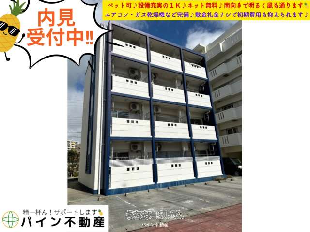 ベルカーサ 203号