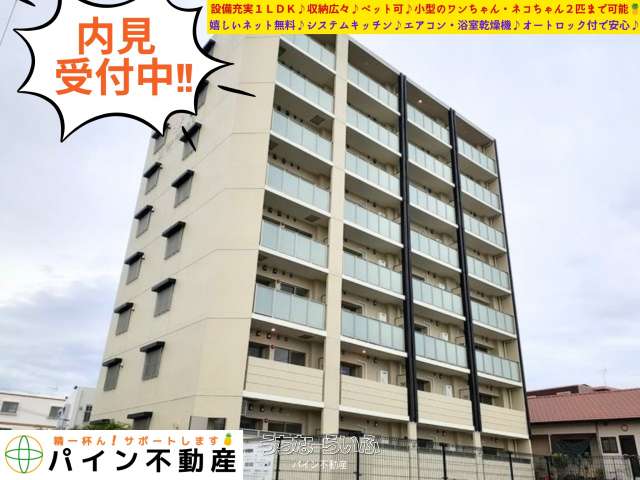 エヌズ・ヴィラ レグルスⅦ 501号