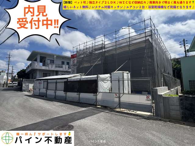 ✨✨Pettia✨✨ 203号