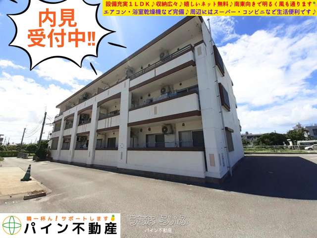 ドリームパレス邦 203号