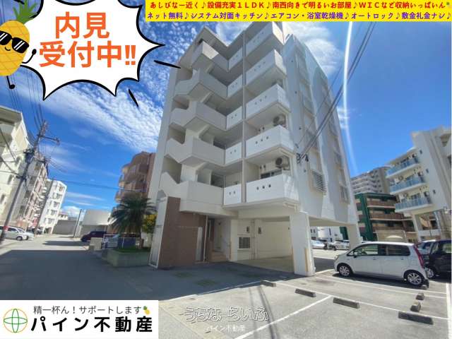 サウスコート 201号