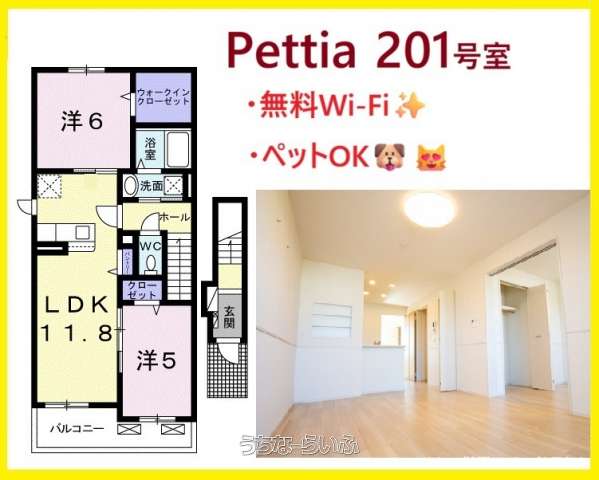 ✨✨Pettia✨✨ 201号