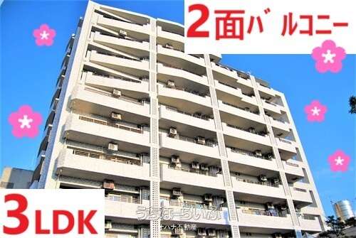 ライオンズヴィラ美浜第２ 201号