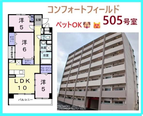 コンフォート フィールド 505号