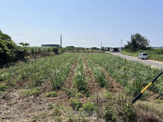 城辺福里　約1,611坪　原野・畑　古屋あり