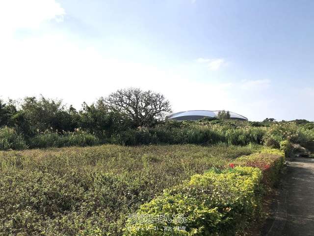 【土地】平良下里 JTAドーム南東側　2093坪　畑（農用地）