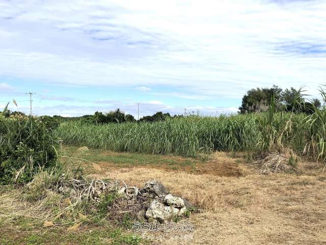 【土地】西仲宗根 添道近く 170坪 畑