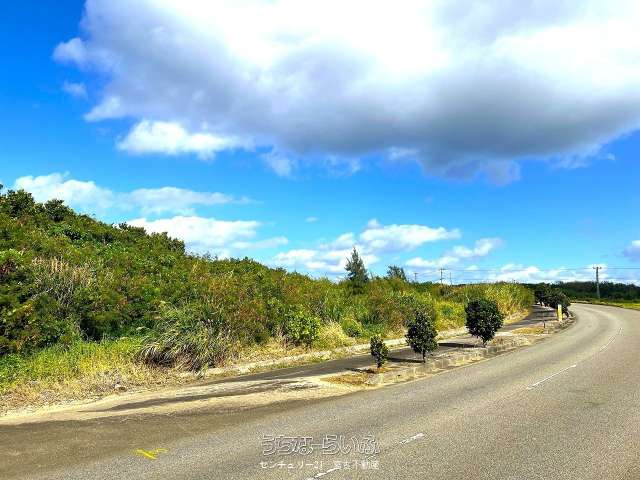 城辺長間 長北海岸近く県道83号線沿い 1639坪 原野（一部保安林）