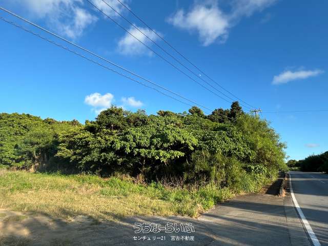 西仲宗根 添道の通りに面した 64坪 宅地