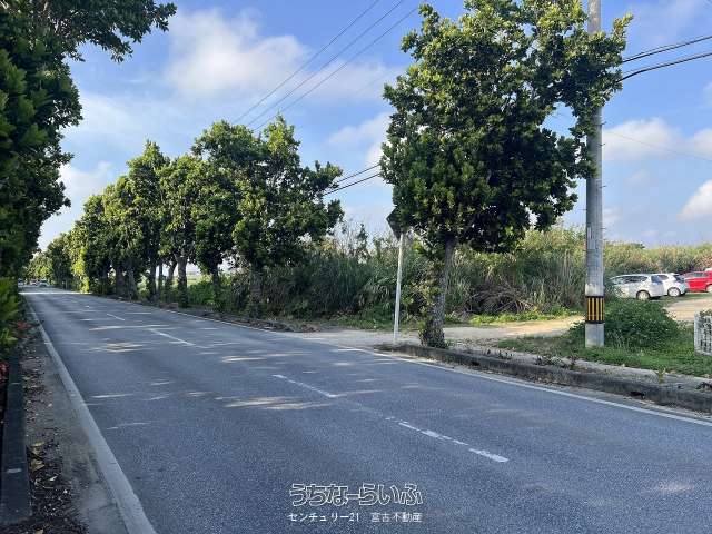 【土地】上野シュレーダー通り沿い 約674坪 原野