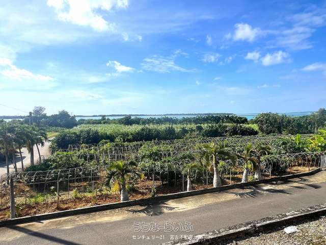 下地川満　川満漁港近く 海が望める 782坪 畑