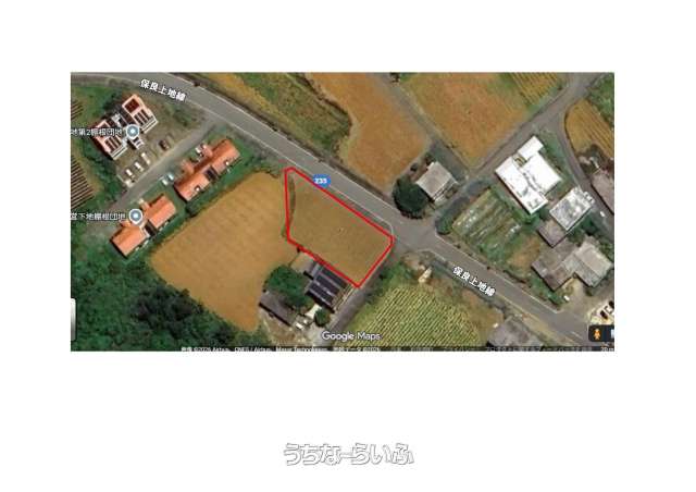 下地字洲鎌ハイタナ子