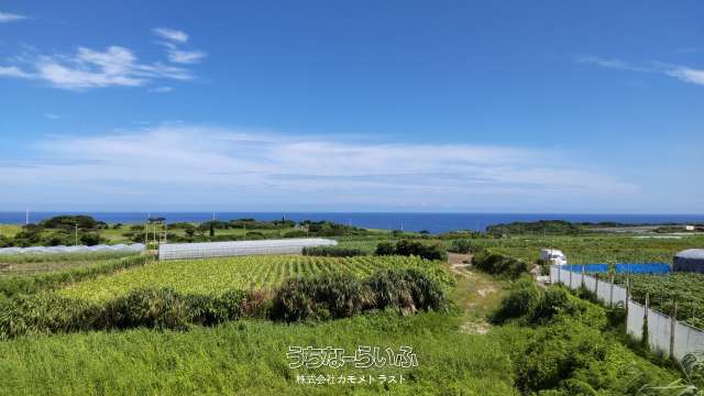 八重瀬町安里　売土地