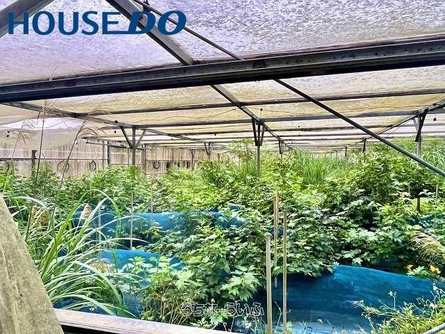 大宜味村白浜　売土地