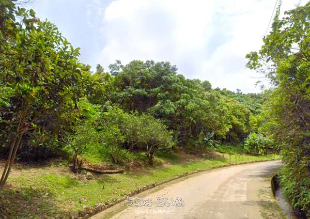 山の自然豊かな土地