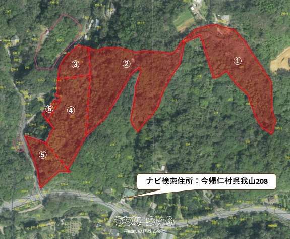 今帰仁村呉我山8000坪