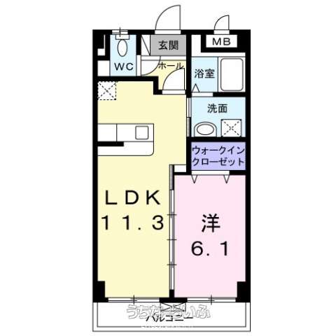 アカラ ピリラニ 302号