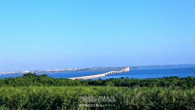 伊良部字池間添1183-1　外4筆