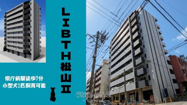 LIBTH松山Ⅱ(リブスマツヤマ2) 902号