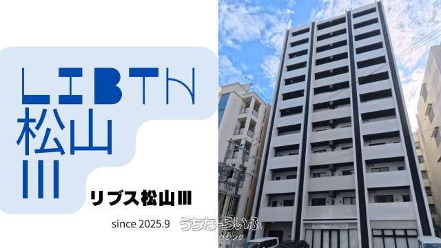 リブス松山Ⅲ 301号