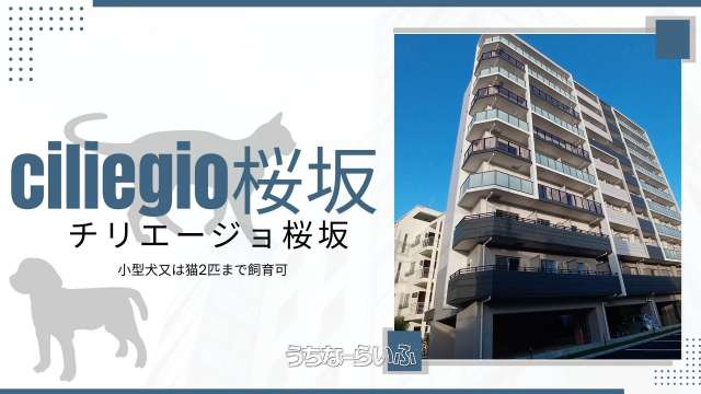 ciliegio(チリエージョ)桜坂 701号