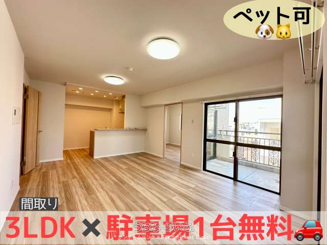 パラシオン国場 302号
